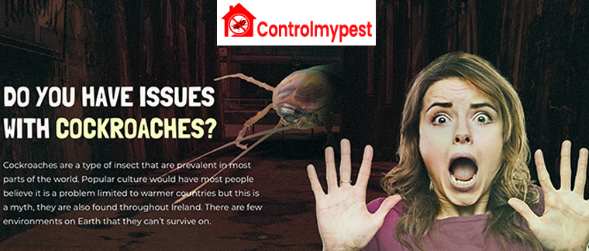 remove cockroaches, kill cockroaches, get rid of cockroaches 
